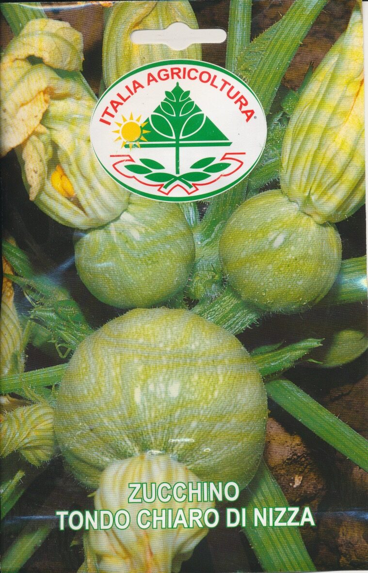 Squash - Tondo Chiaro Di Nizza