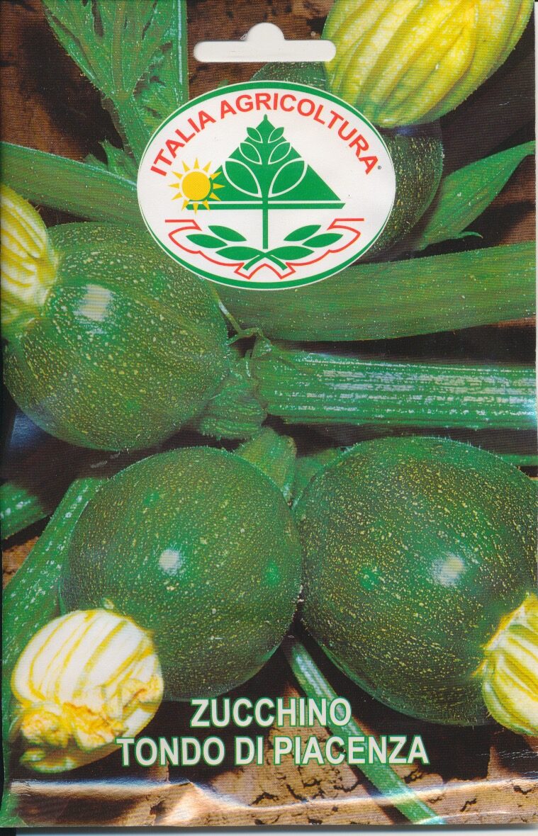 Squash - Tondo Di Piacenza