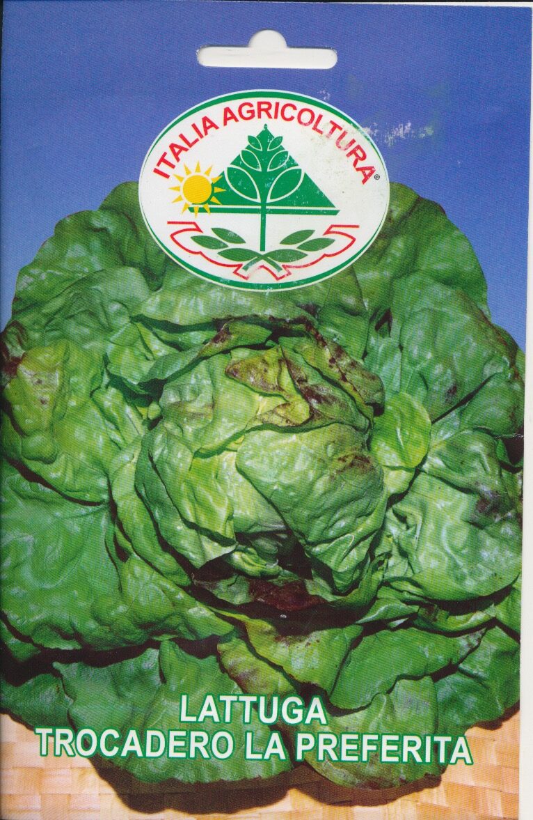 Salat, Blad - Trocadero La Preferita