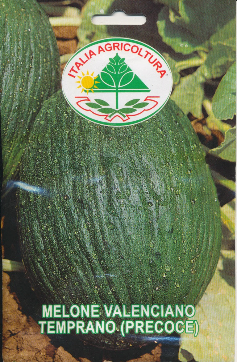Melon - Valenciano Temprano (Precoce) 25 GRAM