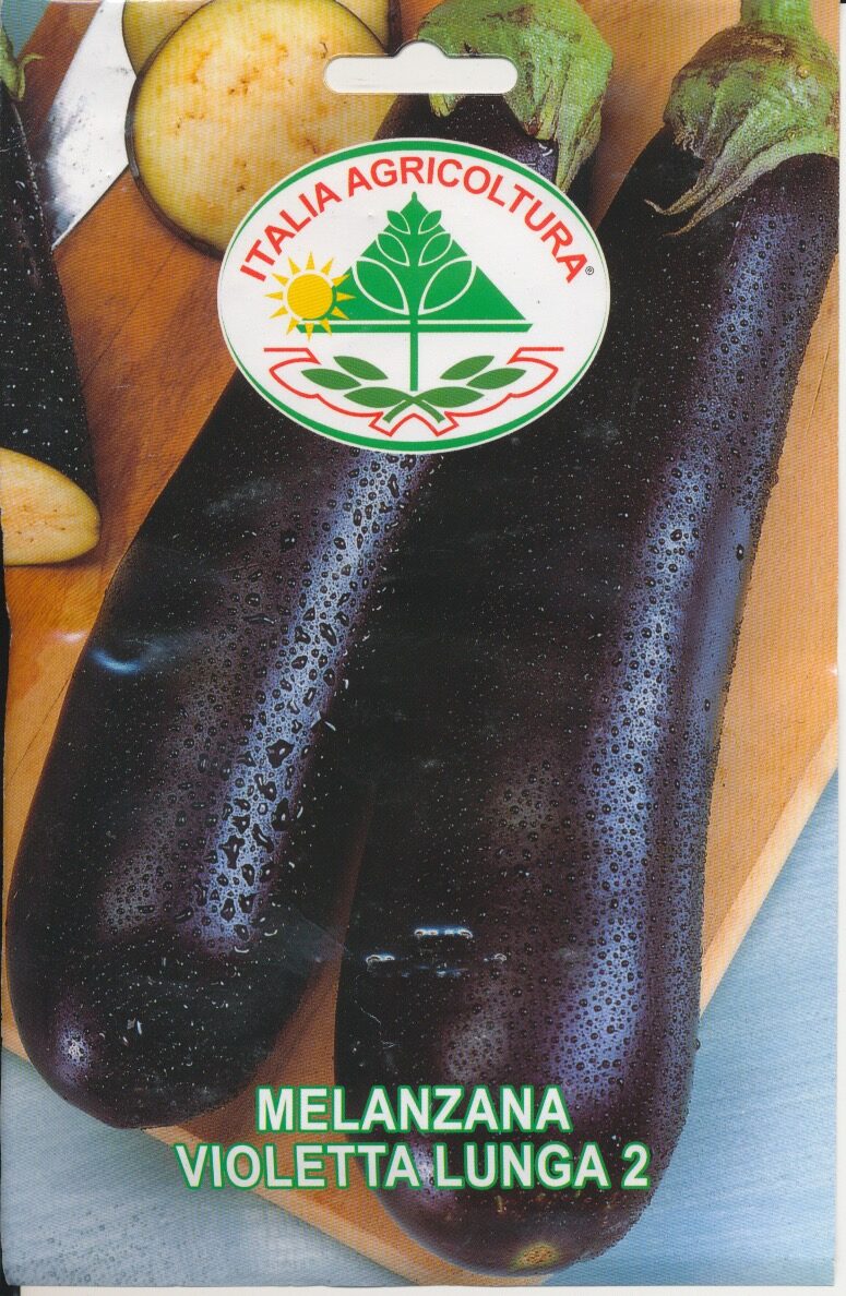Aubergine - Violetta Lunga 2