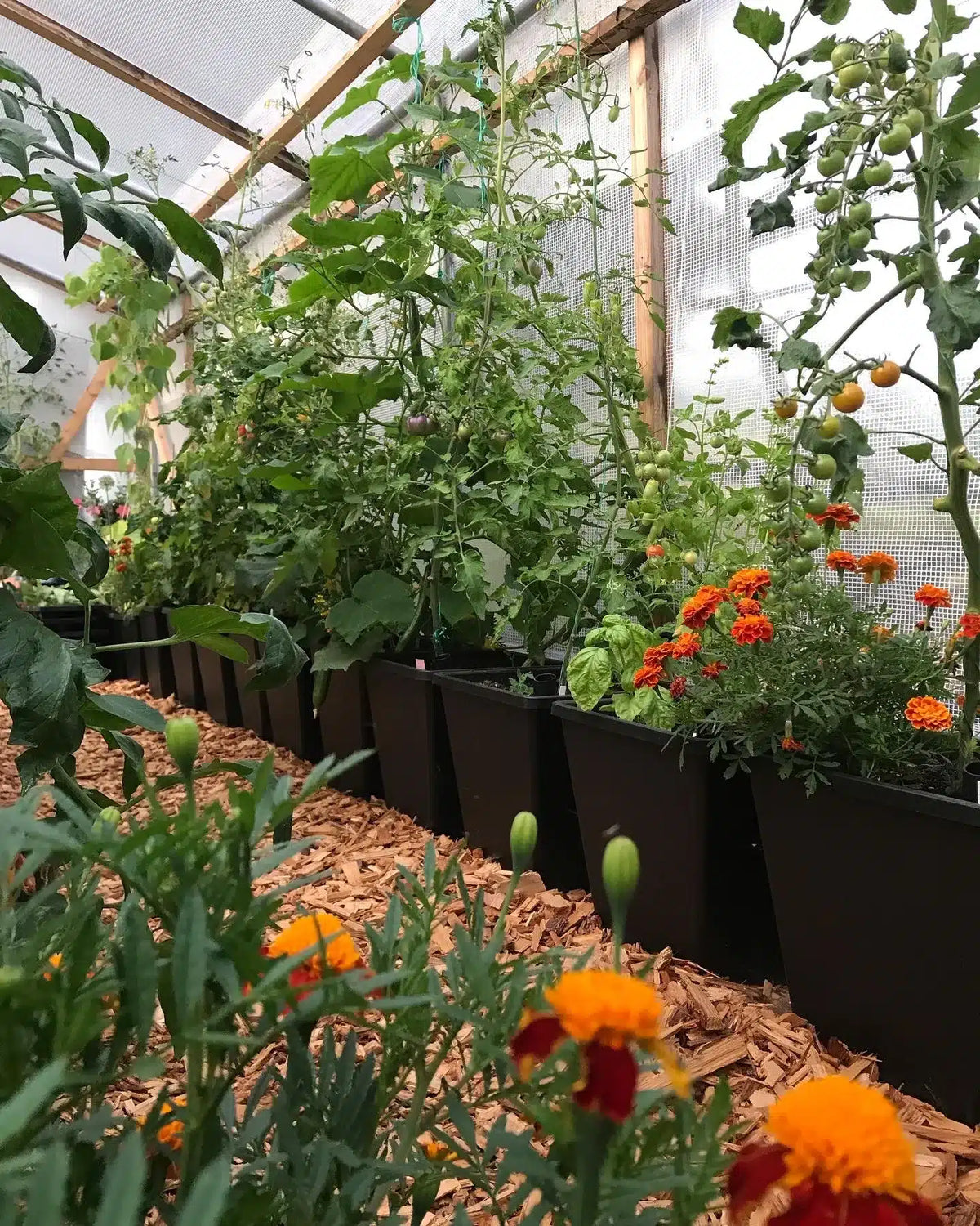 ABC Planter 1 - selvvandingskrukke - Kapillærkasse Genbrugsplast