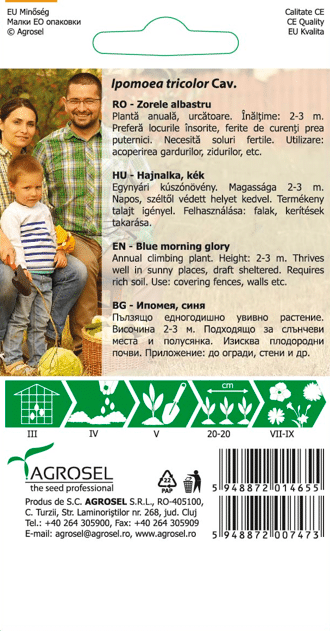 Tragtsnerle - Ipomoea Tricolor cav. - Blue Morning Glory - PG2