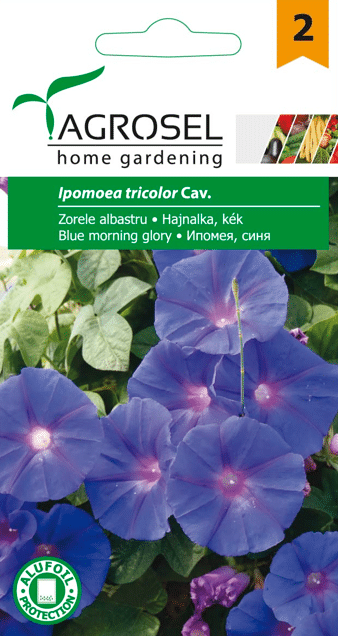 Tragtsnerle - Ipomoea Tricolor cav. - Blue Morning Glory - PG2