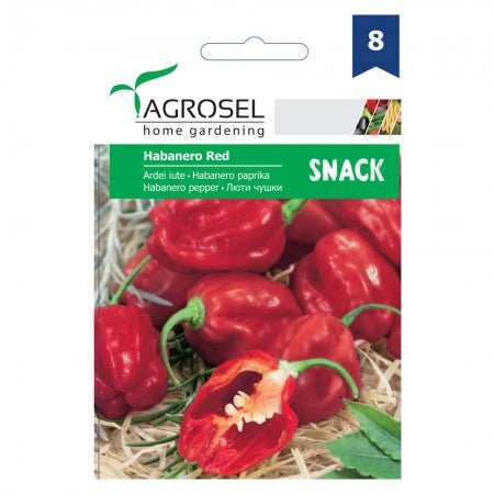 Habanero Red - Chili - capsicum Chinense - PG8