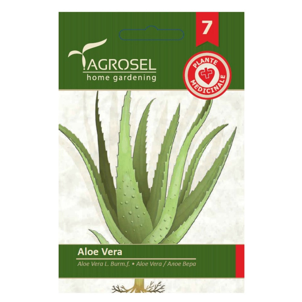 Aloe Vera - PG7