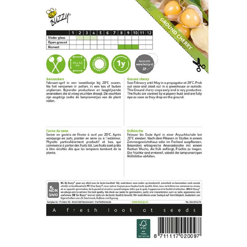 Lav Ananas kirsebær - Physalis pruinosa