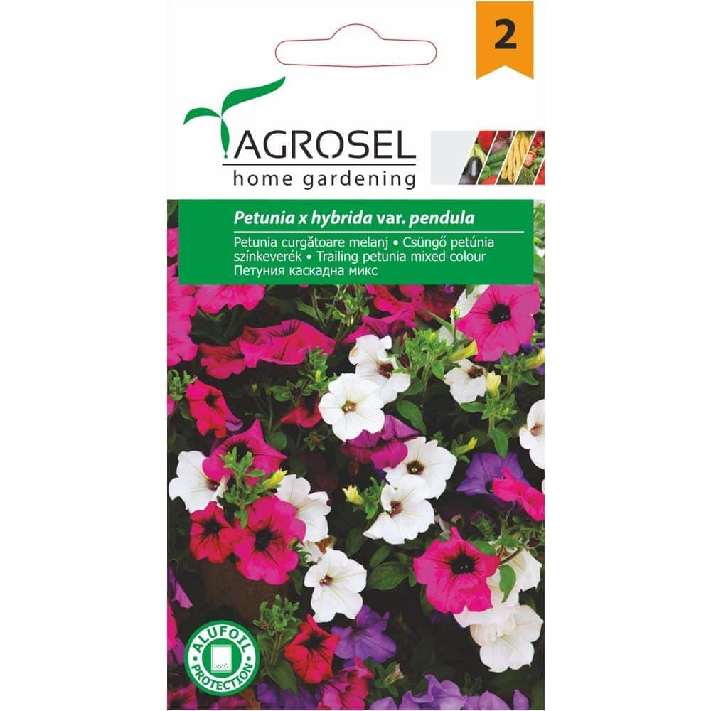 Petunia Hænge - Petunia x hybrida Pendula - PG2