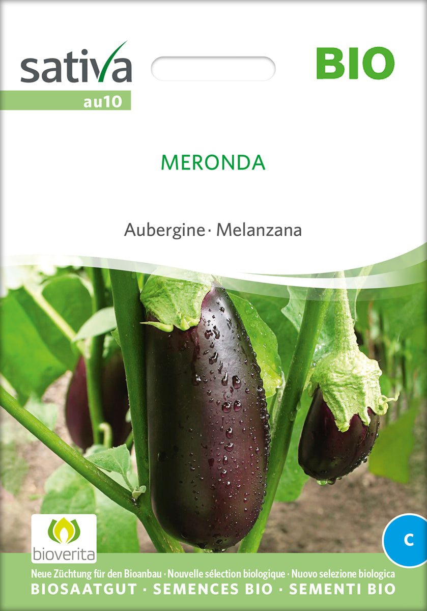 Aubergine - Meronda - ØKO