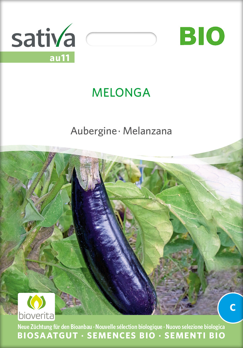 Aubergine - Melonga - ØKO