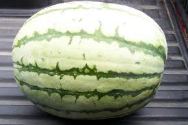 AU Sweet Scarlet - Vandmelon