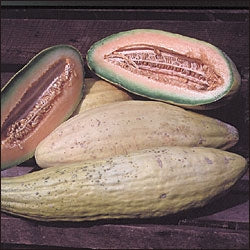 Banan Melon