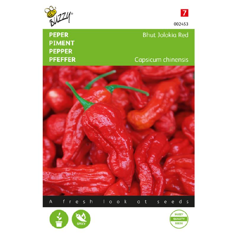 Bhut Jolokia red - C. chinense