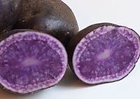 Spisekartoffel - Blå Congo 1,5 Kg