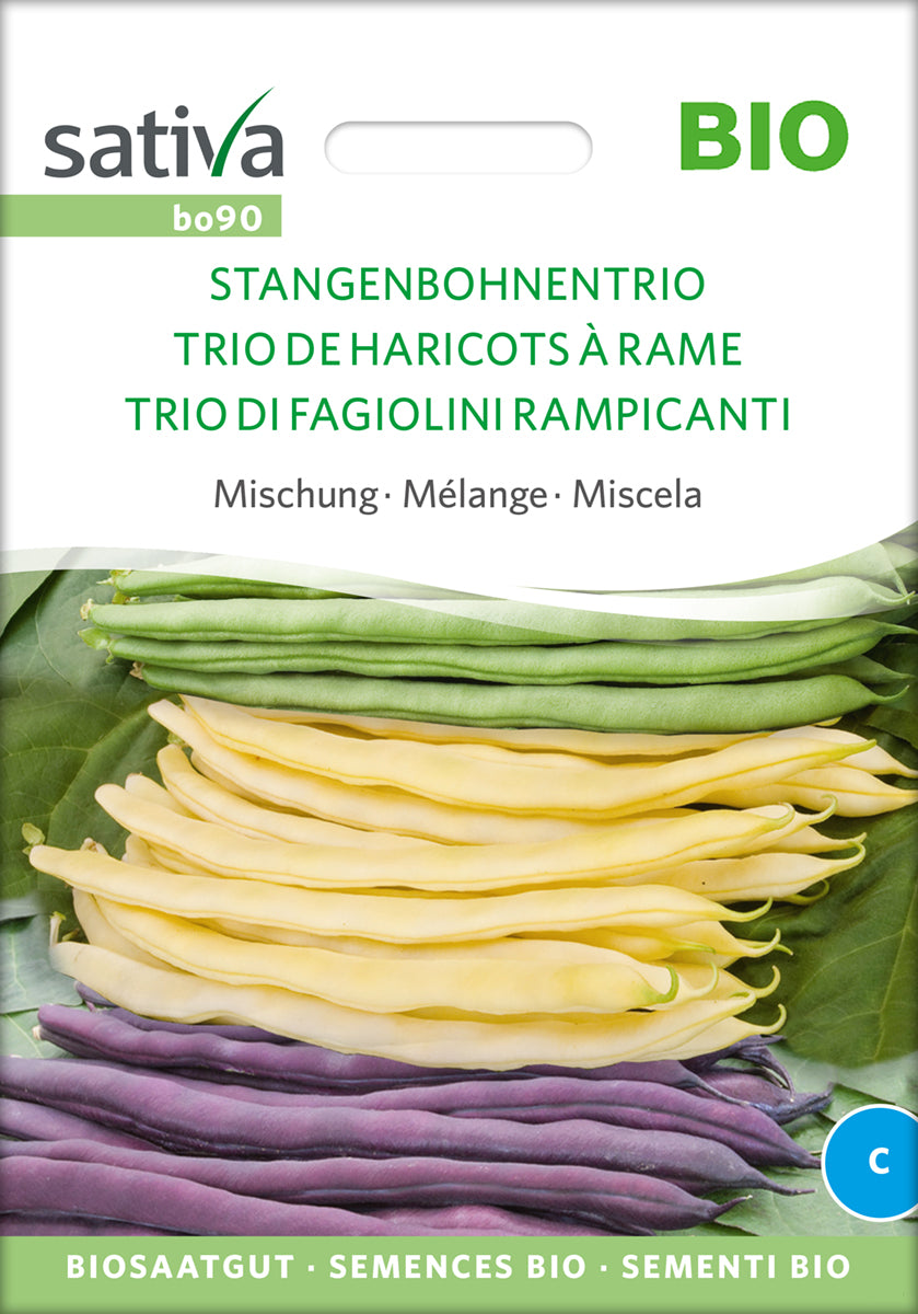 Stangbønne MIX - ØKO