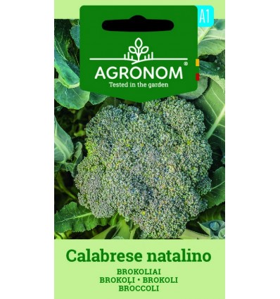 Broccoli - Calabrese natalino