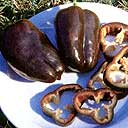Chokolade Peber - Chocolate Beauty