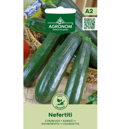 Squash - Nefertiti