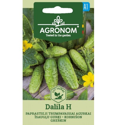 Sylte Agurk - Dalila H - Cornichon