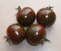 Tomat - Black Zebra Cherry