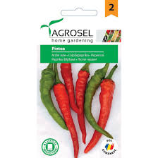 Chili Peber - Pintea C.annuum - PG2