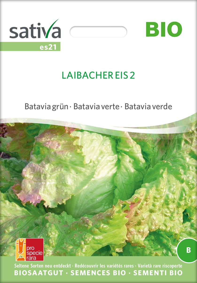 Salat - Laibacher Eis 2 - ØKO