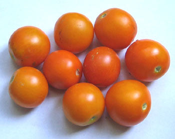 Mini Orange Tomat