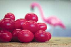 Flamingo - Tomat