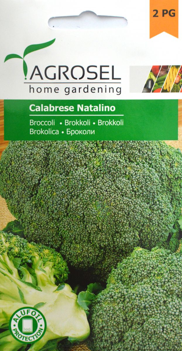 Broccoli - Calabrese Natalino - PG2