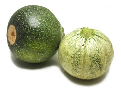 Ronde de Nice - Squash
