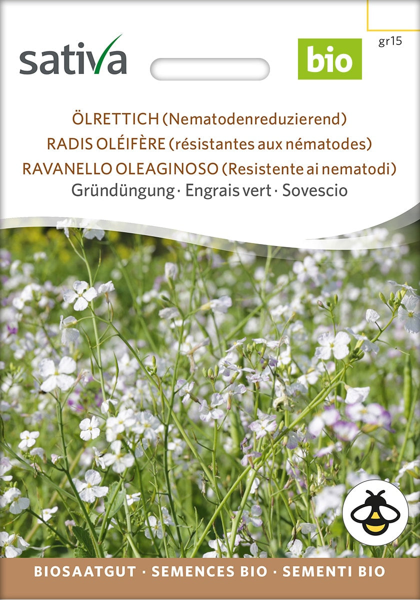 Olieræddike - Fodder Radish - ØKO