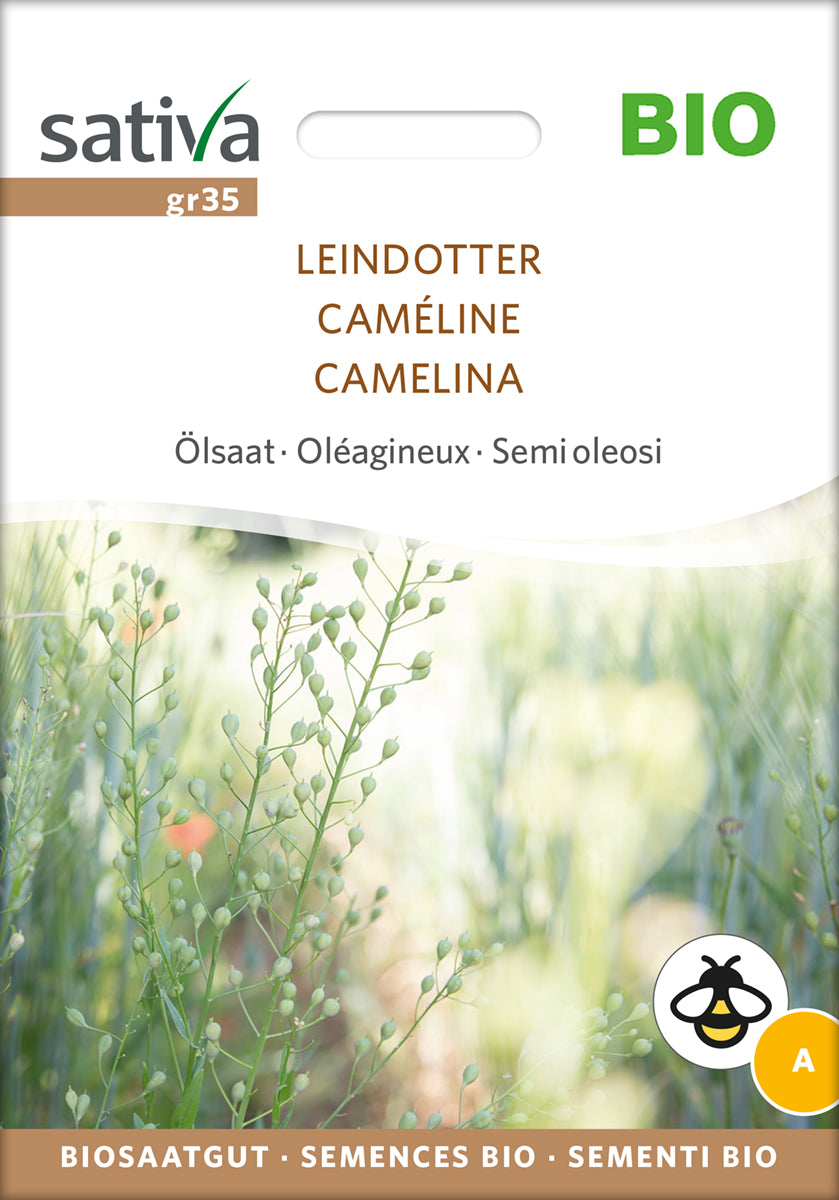 Falsk Hør - Camelina - ØKO
