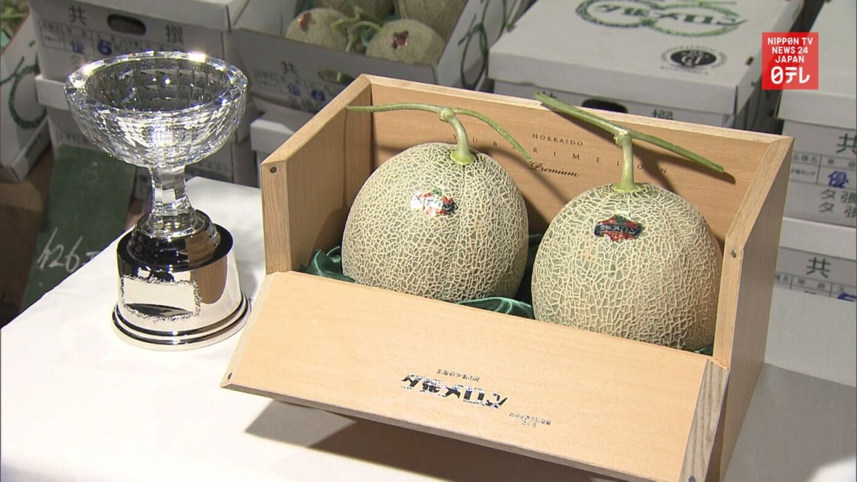 Yubari - Hokaido Melon