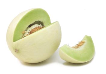 Green Honeydew - melon