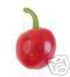 Red Hot cherry
