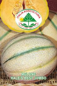 Melon - Hale´s Best Jumbo