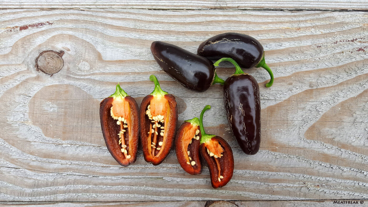 Jalapeño Azabache - C. annuum