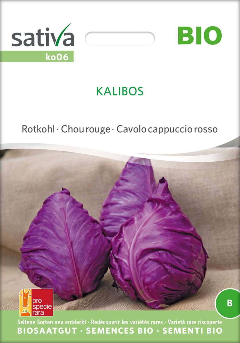 Rød Spidskål - Kalibos- ØKO