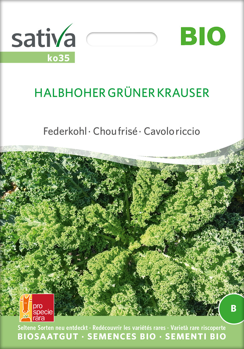 Grønkål- Halbhoher grüner krauser- ØKO
