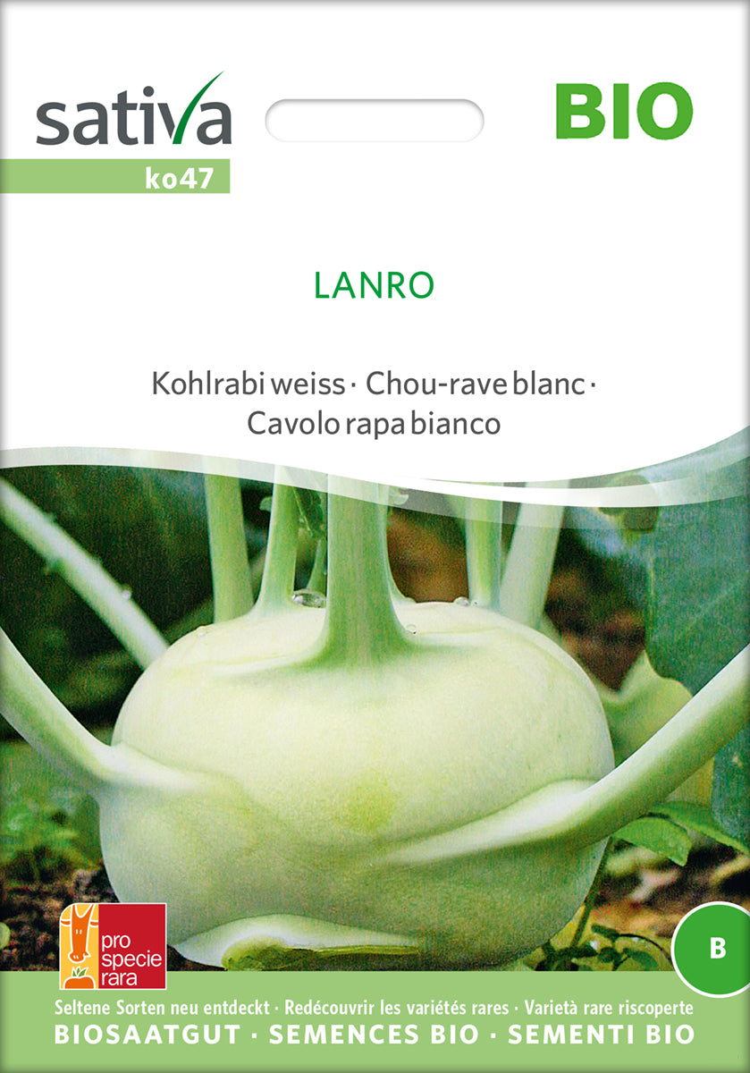 Kålrabi - Lanro - ØKO