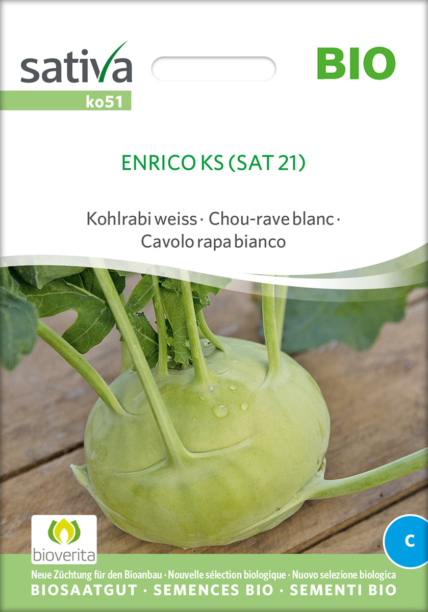 Kålrabi - Enrico KS - ØKO