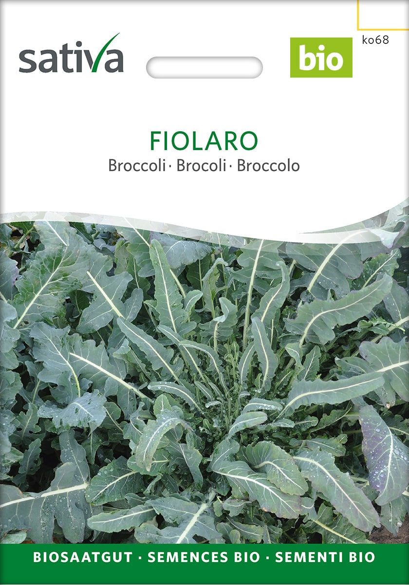 Broccoli - Fiolaro - ØKO