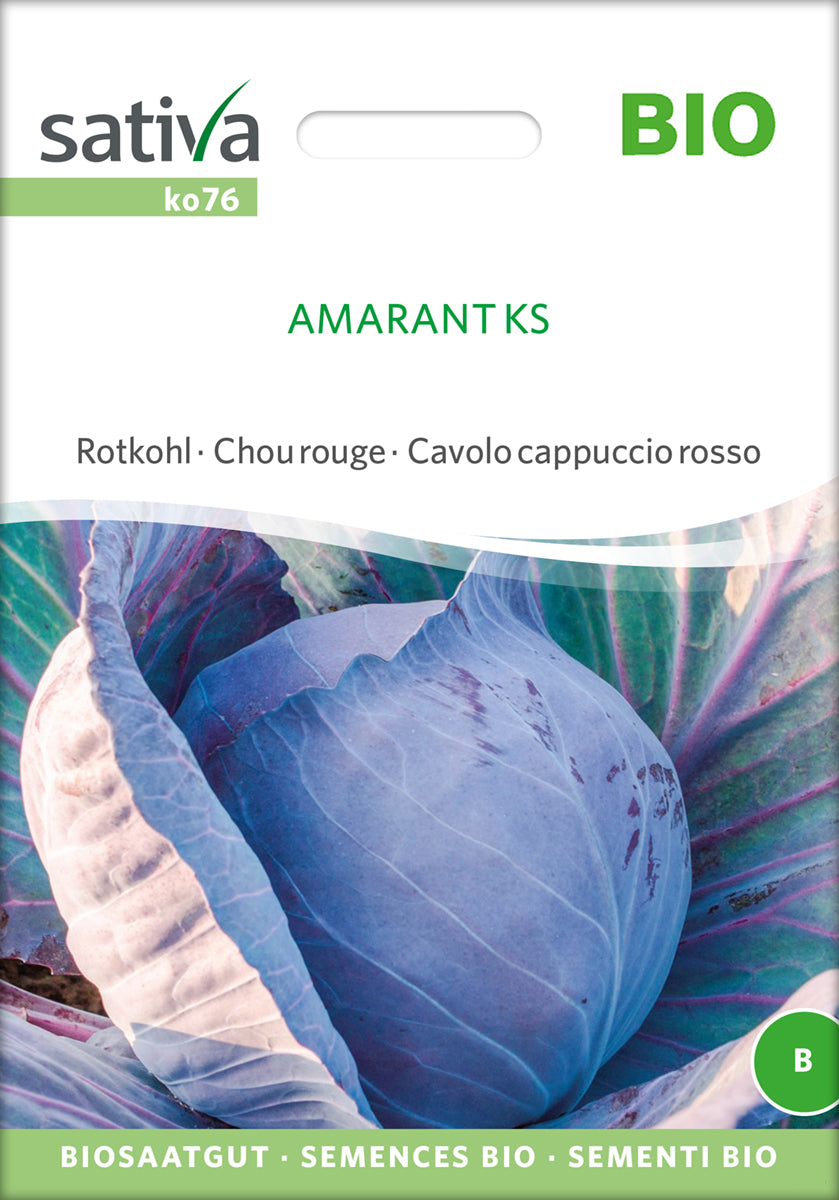 Rødkål - Amarant KS - ØKO