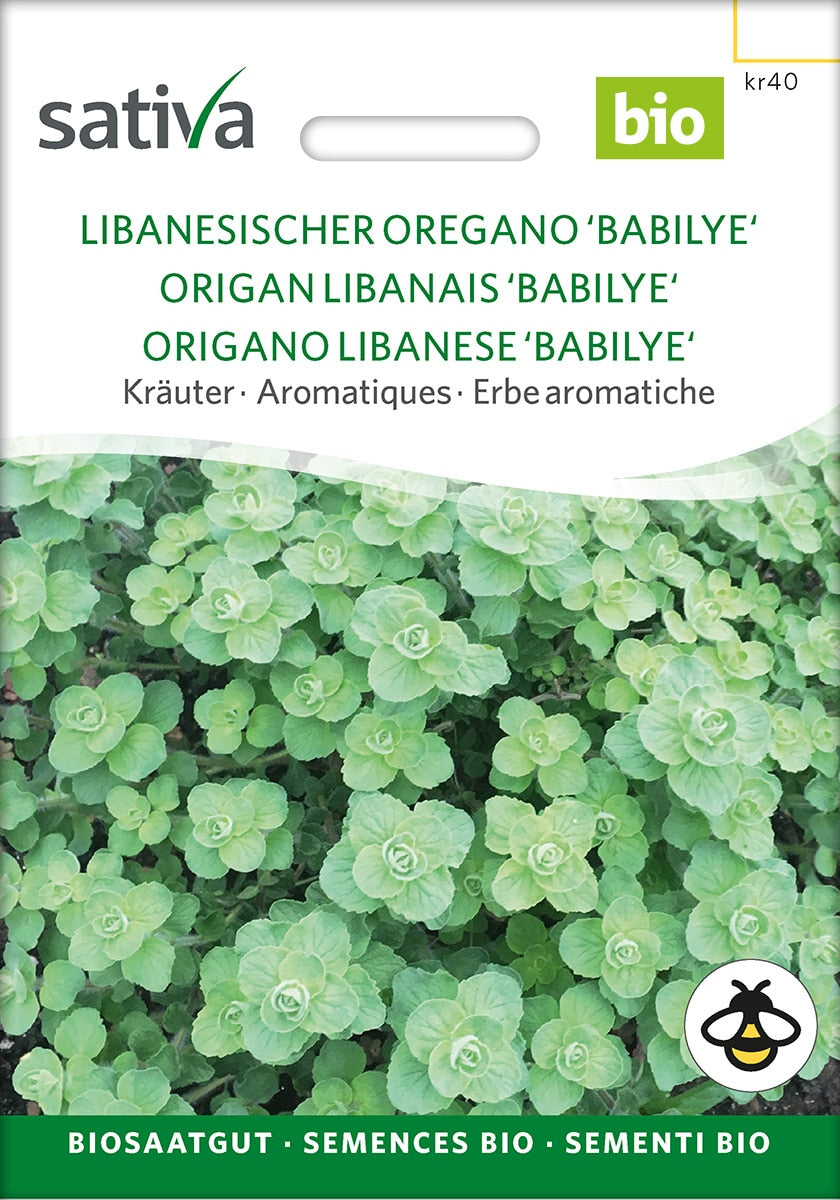 Libanesisk oregano- Babilye - ØKO