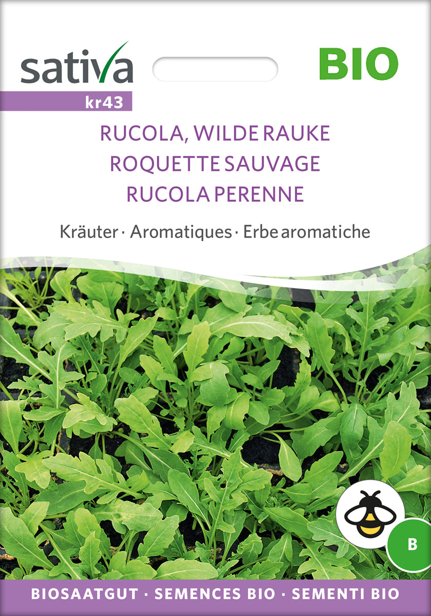 Rucola - Flerårig - ØKO