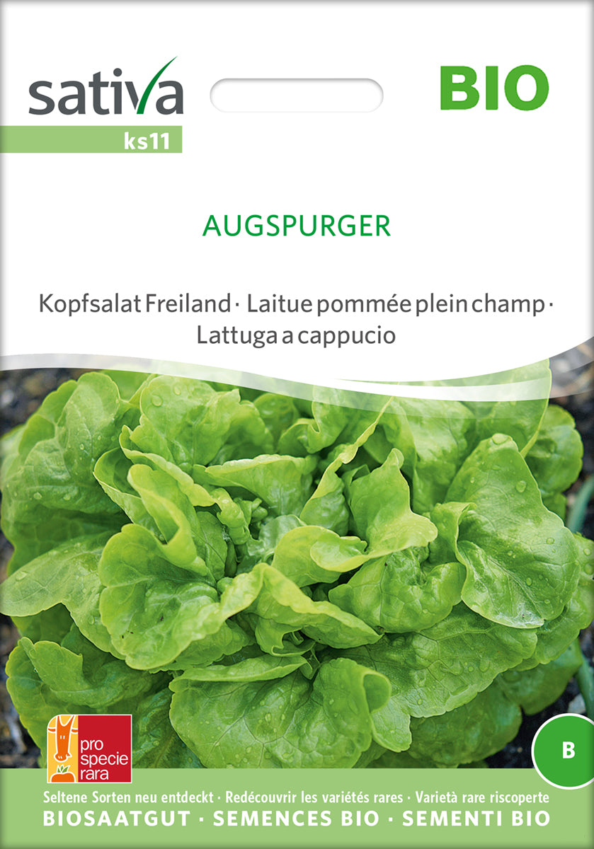 Salat - Augspurger- ØKO