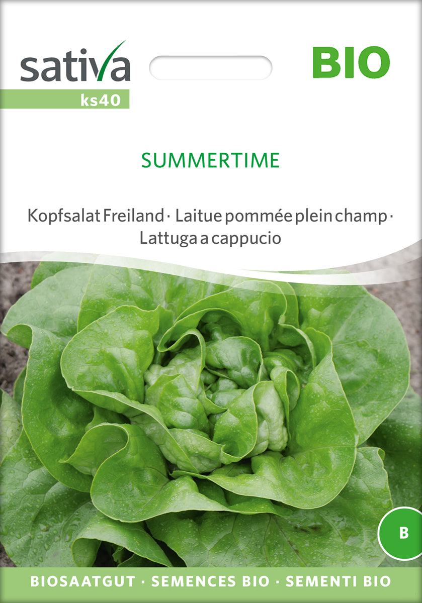 Salat - Summertime - ØKO