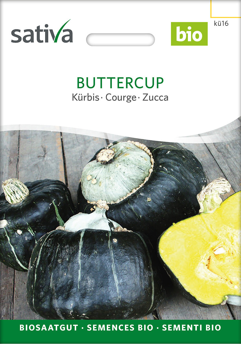 Græskar - Buttercup - ØKO