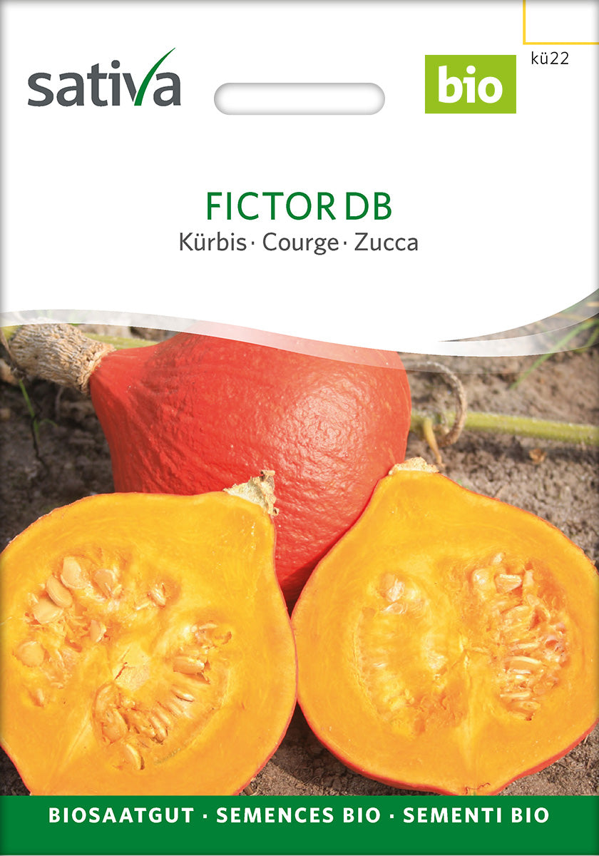 Græskar - Fictor DB - ØKO