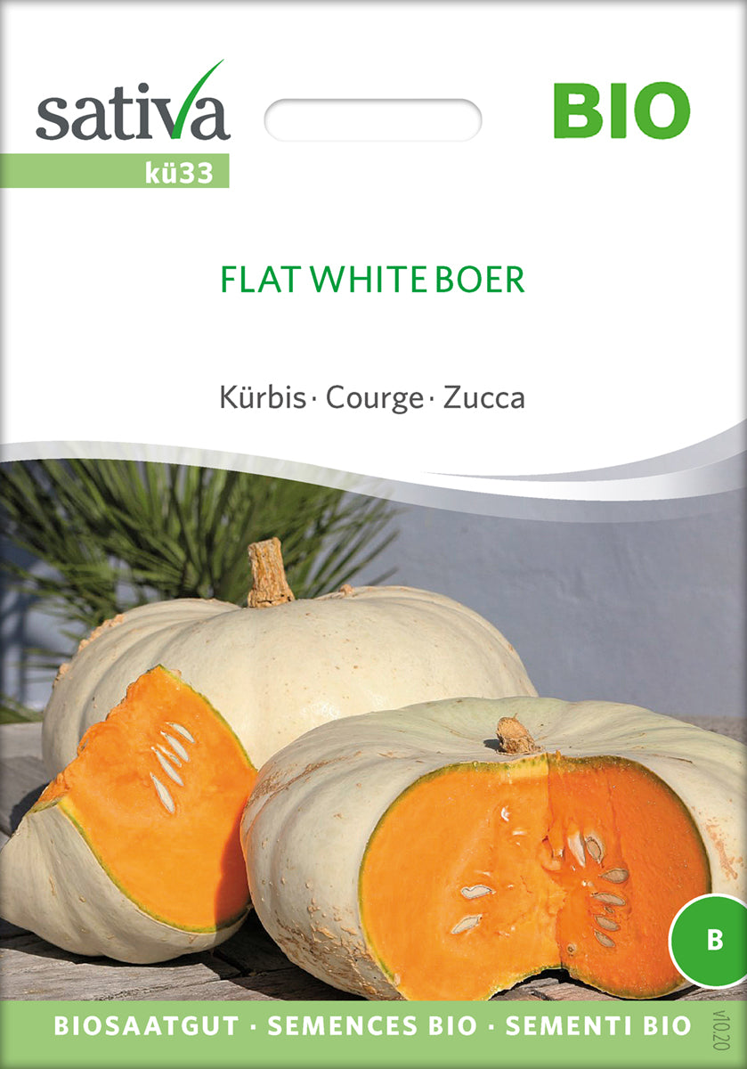 Græskar/Squash - Flat White Boer - ØKO